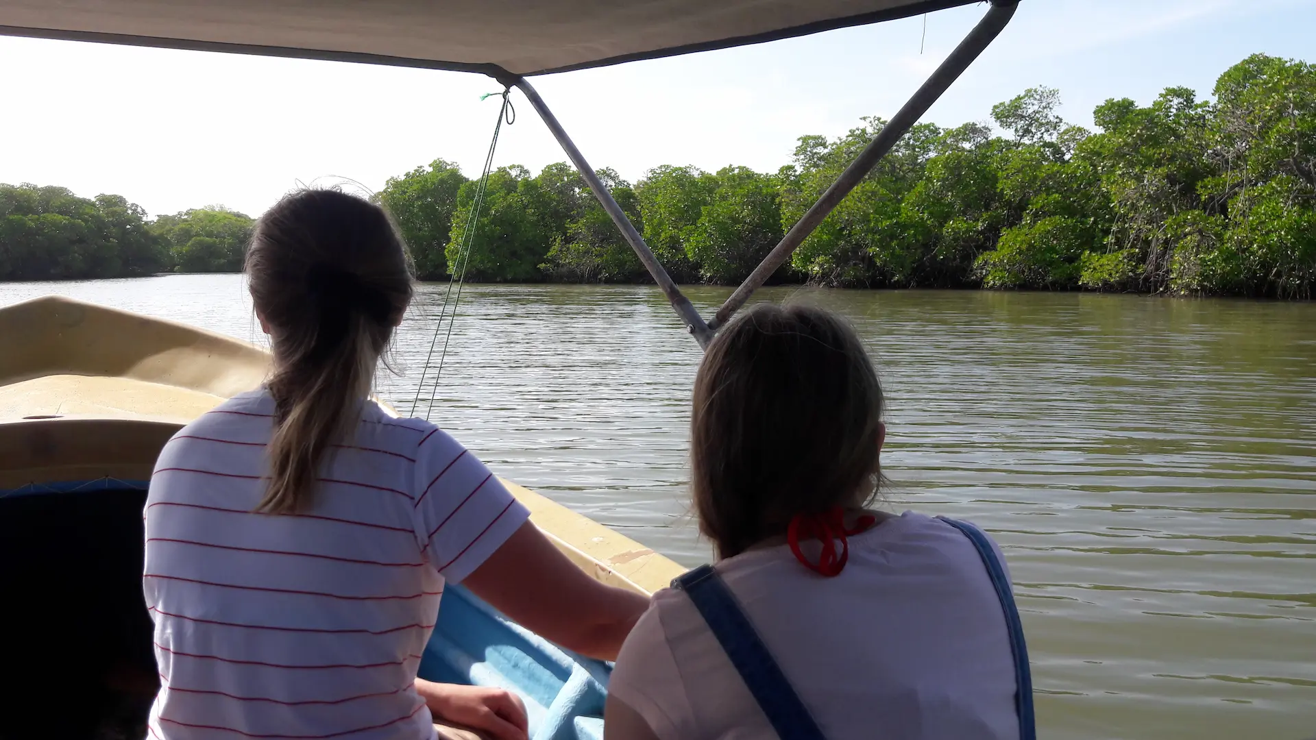 Kalpitiya Lagoon Tour