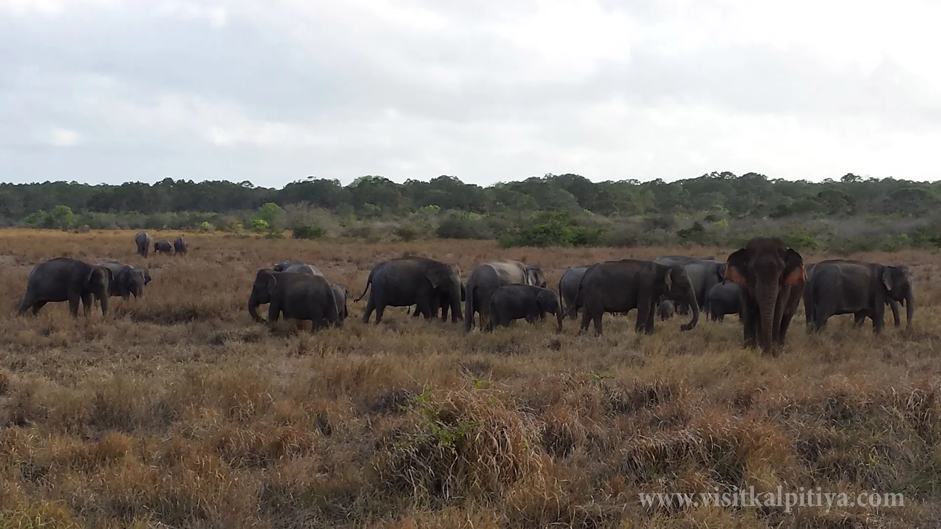 Wilpattu National Park